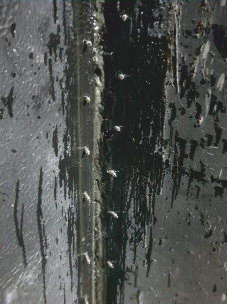 Injection waterproofing in progress