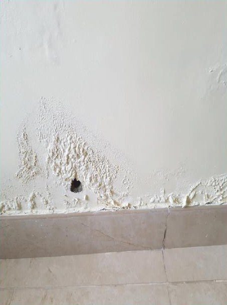 Wall dampness treatment