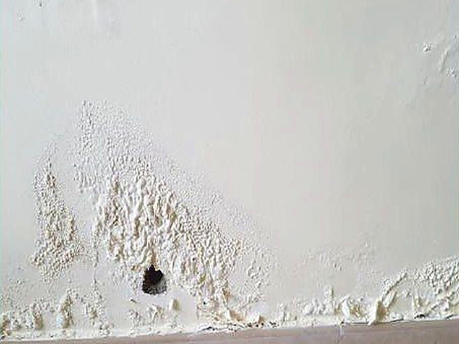 Moisture Wall Dampness